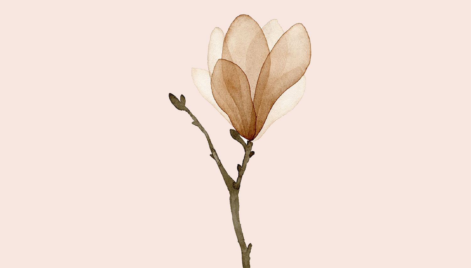 weekly flowers