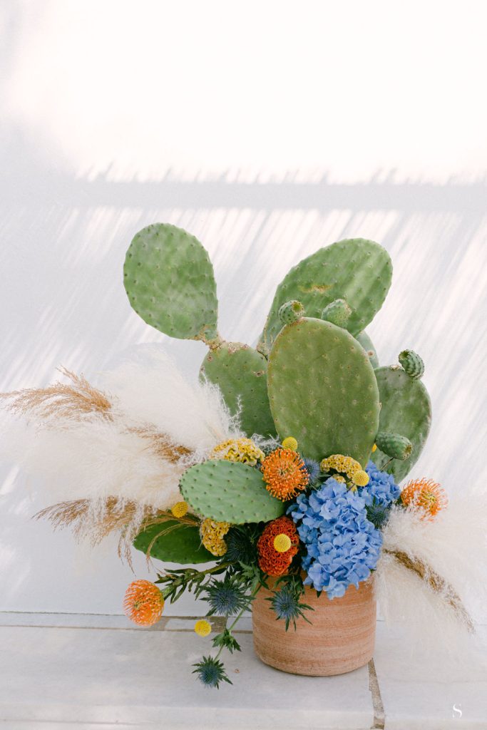 Stefanossozon 104 (1)