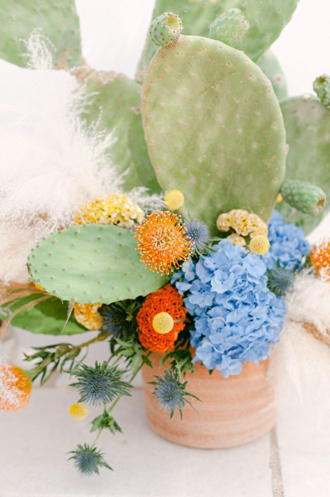 Stefanossozon 141 (1)