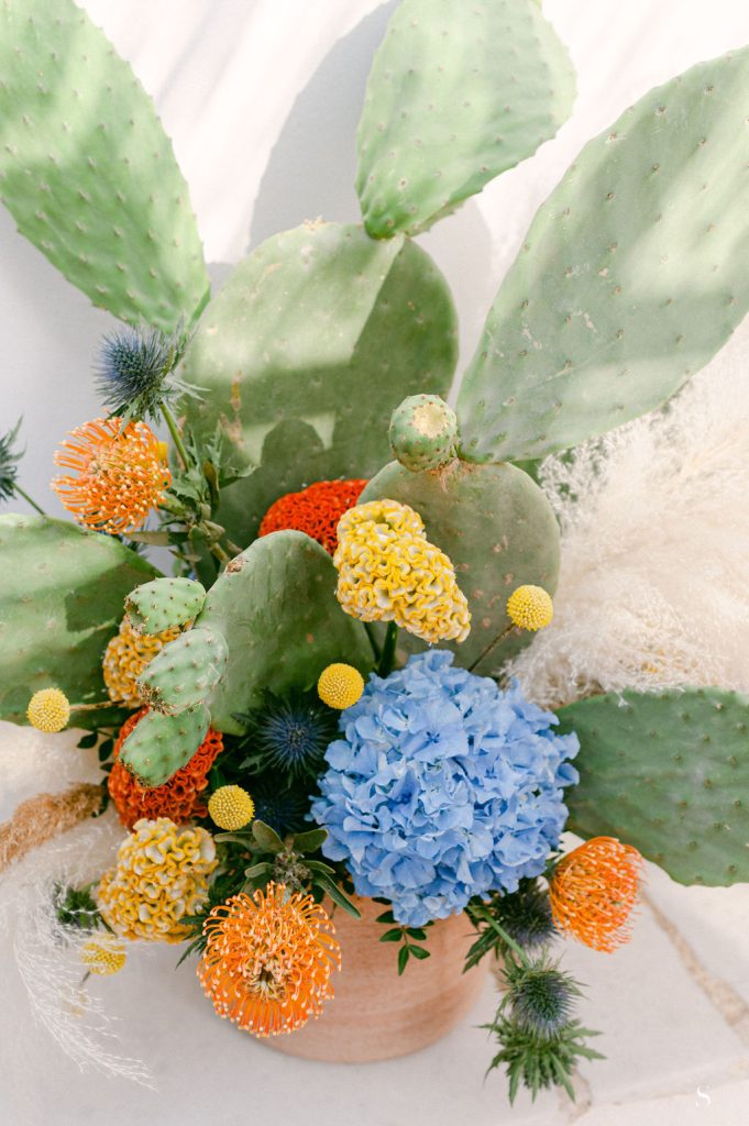 Stefanossozon 166 (1)