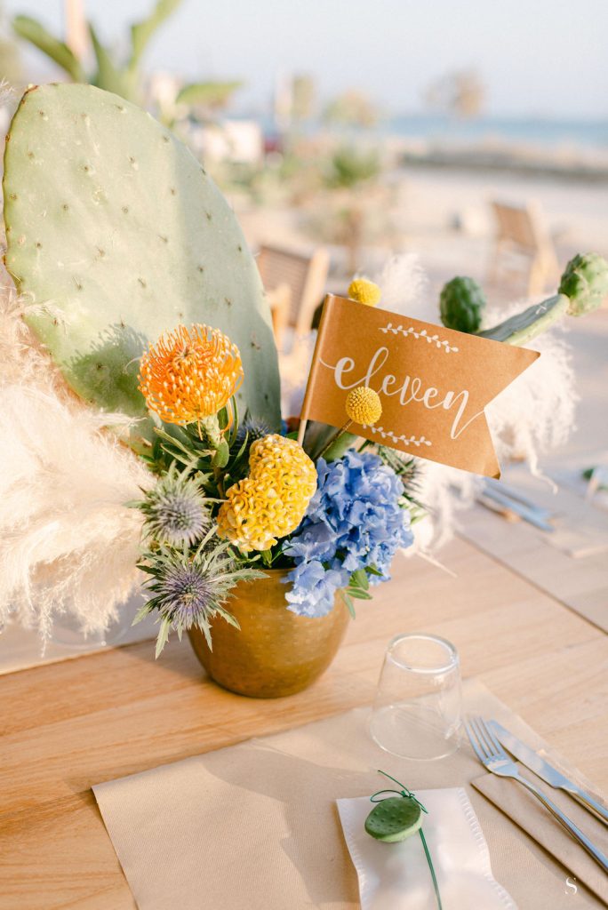 Stefanossozon 516 (1)