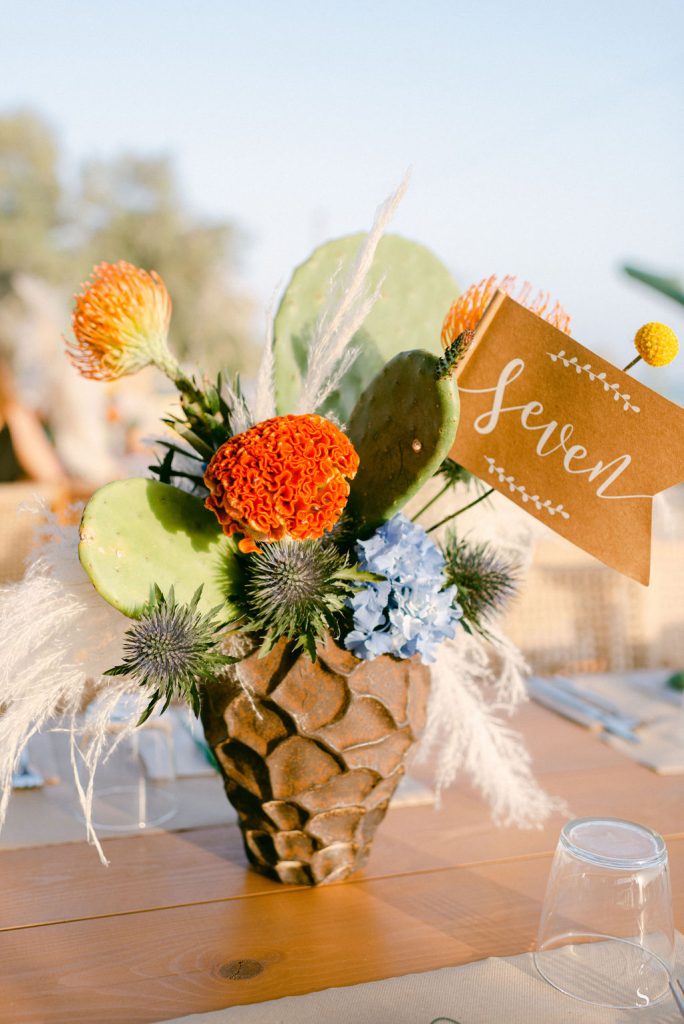 Stefanossozon 517 (1)