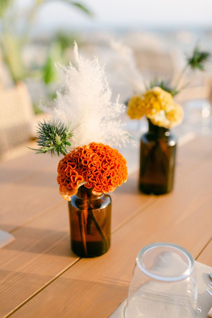 Stefanossozon 519 (1)