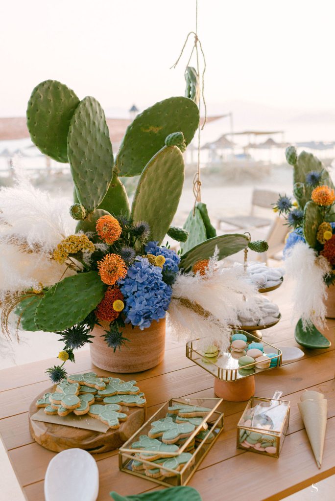 Stefanossozon 525 (1)