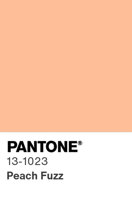 Pantone Color Chip 13 1023 Tcx Nosuffix